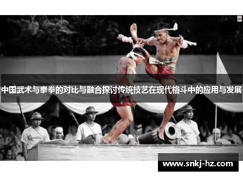 中国武术与泰拳的对比与融合探讨传统技艺在现代格斗中的应用与发展