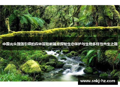 中国光头强强引领的森林冒险新篇章探秘生态保护与生物多样性共生之路