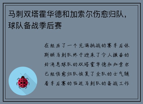 马刺双塔霍华德和加索尔伤愈归队，球队备战季后赛